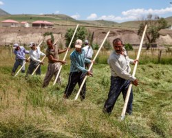 Gundêmîra / Foto: İbrahim Şahin